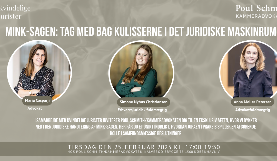 Mink-sagen: Tag med bag kulisserne i det juridiske maskinrum