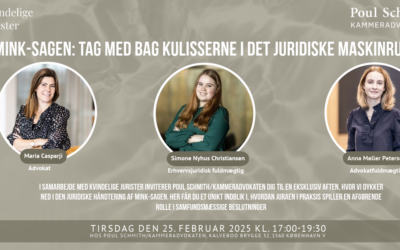 Mink-sagen: Tag med bag kulisserne i det juridiske maskinrum